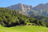 پارک ملی تندوره گنجینه‌ای طبیعی در ایران