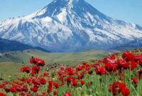 سفر یک‌روزه اطراف تهران‌ کجا برویم؟/ دشت لار، بهشت گمشده البرز؛ مقصدی بکر برای طبیعت‌گردی و عکاسی