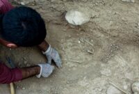 کشف گورستان سه‌هزار ساله در این استان