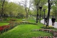 مخالفت عضو شورای شهر تهران با ساخت مدرسه در بوستان ها