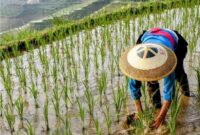 کشاورزی و تولید غذا به قیمت نابودی تنوع زیستی