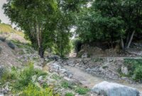 تکمیل فاز دوم اکوپارک فرحزاد در سال جاری