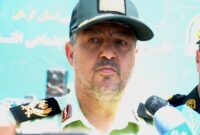 سارق سکه‌ها و نسخ تاریخی مقبره شاه نعمت الله ماهان دستگیر شد