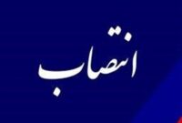 ایمان صادق زاده سرپرست سازمان فاوا شهرداری تهران شد
