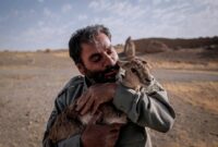 بکارگیری سلاح توسط محیط بان منتظر تصویب یک لایحه در صحن مجلس