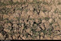 ایران زیر فشار بی آبی؛ نجات از بحران با صرفه جویی 15درصدی خانوار