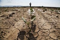 پیش بینی گرمای سال 2100، الان در حال تحقق است/تبخیر سالی یک متر از ارتفاع آب دریاچه ارومیه