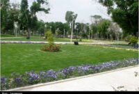 توسعه 7.3 درصدی فضای سبز درون شهری تهران
