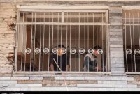 اخبار تهران| پایان تعمیرات 2608 واحد مسکونی آسیب دیده در جنگ 12 روزه