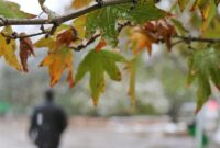 هواشناسی ایران 1404/7/9؛ کاهش محسوس دما در نوار شمالی کشور