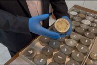 تازهترین کشف ارزشمند از دوره قاجار در کاخ گلستان / محتوای این فیلمها چیست؟ تازهترین کشف ارزشمند از دوره قاجار در کاخ گلستان / محتوای این فیلمها چیست؟