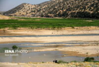 کشکانِ عطشان – ایسنا
