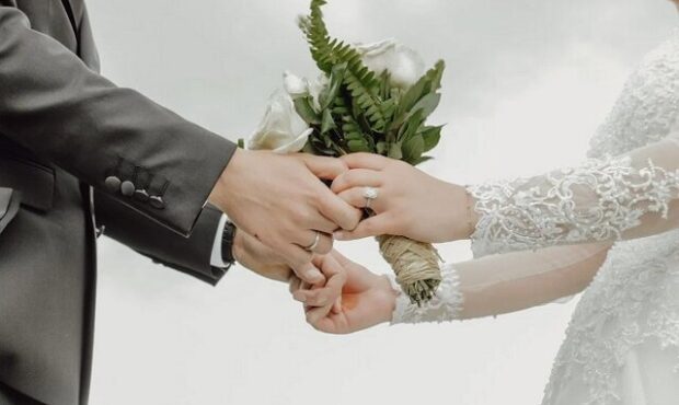 عقد آریایی از کجا آمده است؟