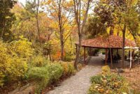 تماشای پاییز در پارک‌های تهران/ از لویزان تا پردیسان؛ معرفی ۵ بوستان جذاب برای تهرانگردی آخرهفته