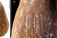 نئاندرتال‌ها مدادشمعی داشتند؟ – ایسنا