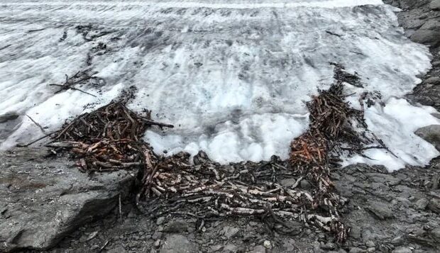 کشفی منحصربفرد با آب شدن یخ