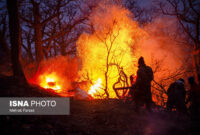 چرا یونسکو در مهار آتش هیرکانی به ایران کمک نکرد؟