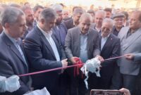 نمایشگاه چهارمین جشنواره ملی انار ساوه آغاز به کار کرد