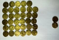 کشف ۳۷ سکه تاریخی مربوط به دوران ساسانیان در این شهر/ عکس