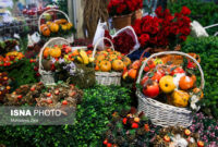 یلدا در ترازوی معیشت؛ تغییر الگوی خرید بدون حذف سنت