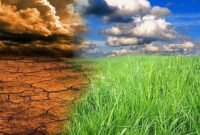 از افت خزر تا خیز خلیج فارس؛ پیامدهای تغییر اقلیم جهانی در ایران