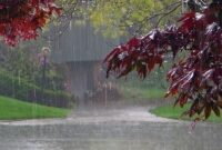 هواشناسی ایران امروز 1404/10/13 – تسنیم