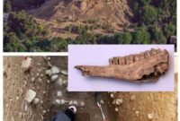 تقویت پرونده ثبت جهانی با یافته‌های پیش‌ از تاریخ در قلعه فلک‌الافلاک