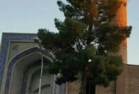 یک پژوهشگر آثار تاریخی: فناوری در حفظ آثار تاریخی نقش مؤثری دارد