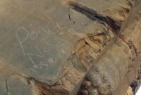 از ثبت جهانی تا پیگرد قضایی؛ ماجرای یک یادگاری پرهزینه