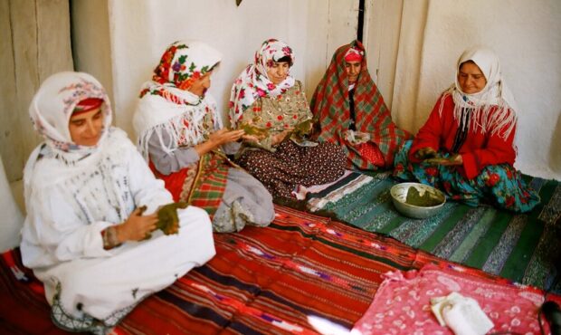 از «شو خوانی» تا رصد ستارگان به وقت سحر