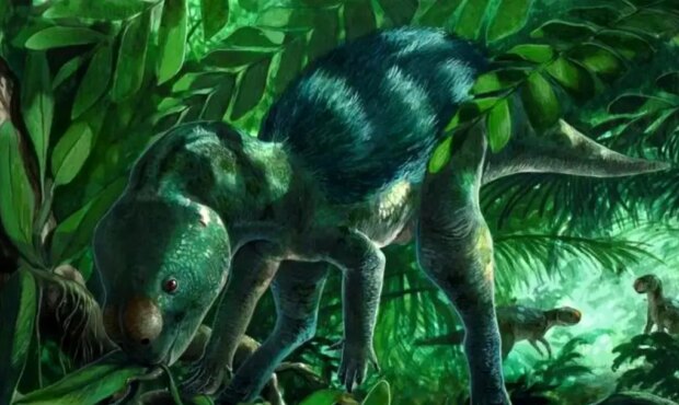 کشف شگفت‌انگیز دایناسور مینیاتوری 70 میلیون ساله