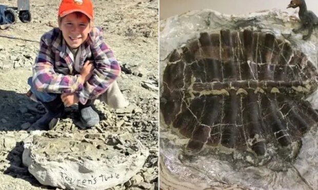 کشف فسیل 50 میلیون ساله لاک پشت توسط یک پسر 11 ساله