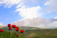 نوروز تنها یک شروع تقویمی نیست؛ لحظه‌ای است برای ایستادن، اندیشیدن و انتخاب کردن/ در دل سختی زندگی باید ادامه یابد و آغازی برای خلق وضعیتی دیگر شود