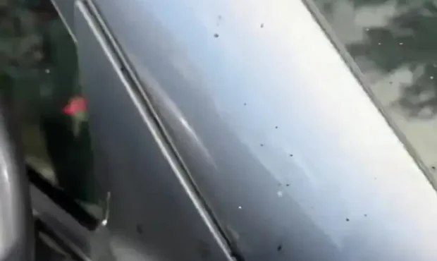 باران نفت در روسیه بعد از حمله اوکراین