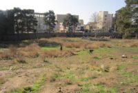 تعرض به تپه ۵هزار ساله غرب تهران را متوقف کنید تعرض به تپه ۵هزار ساله غرب تهران را متوقف کنید