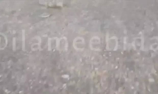 کشف لاشه پهپاد MQ۹ ‌آمریکایی در دهلران‌