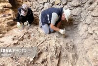 پایان فصل دوم کاوش‌های باستان‌شناسی ارگ سلطانیه/ دستیابی به یافته‌های جدید از معماری و تدف