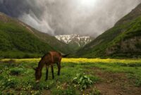 از آبشارهای پنهان تا دشت‌های مرتفع؛ در فصل گرما کجا آب و هوا تازه کنیم؟/ معرفی ۶ مقصد بکر و خنک اطراف تهران