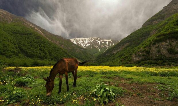 از آبشارهای پنهان تا دشت‌های مرتفع؛ در فصل گرما کجا آب و هوا تازه کنیم؟/ معرفی ۶ مقصد بکر و خنک اطراف تهران
