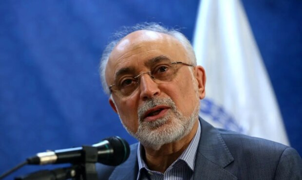 تصمیم رهبر شهید در مورد برنامه هسته‌ای چه بود؟/ روایت علی اکبر صالحی