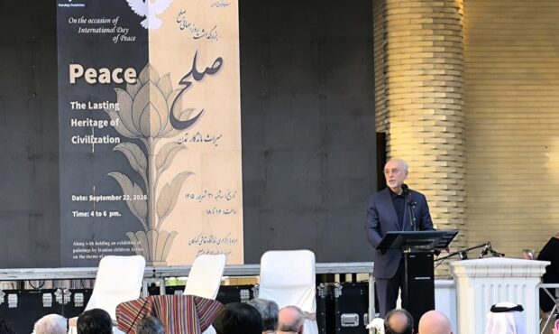 صالحی: دفاع از روح منشور سازمان ملل وظیفه مشترک همه است
