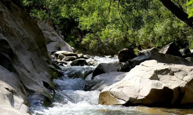 چال ماهی تهران کجاست؟