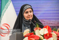 وزیر راه: امیدواریم پروازهای نجف به زودی باز شود وزیر راه: امیدواریم پروازهای نجف به زودی باز شود